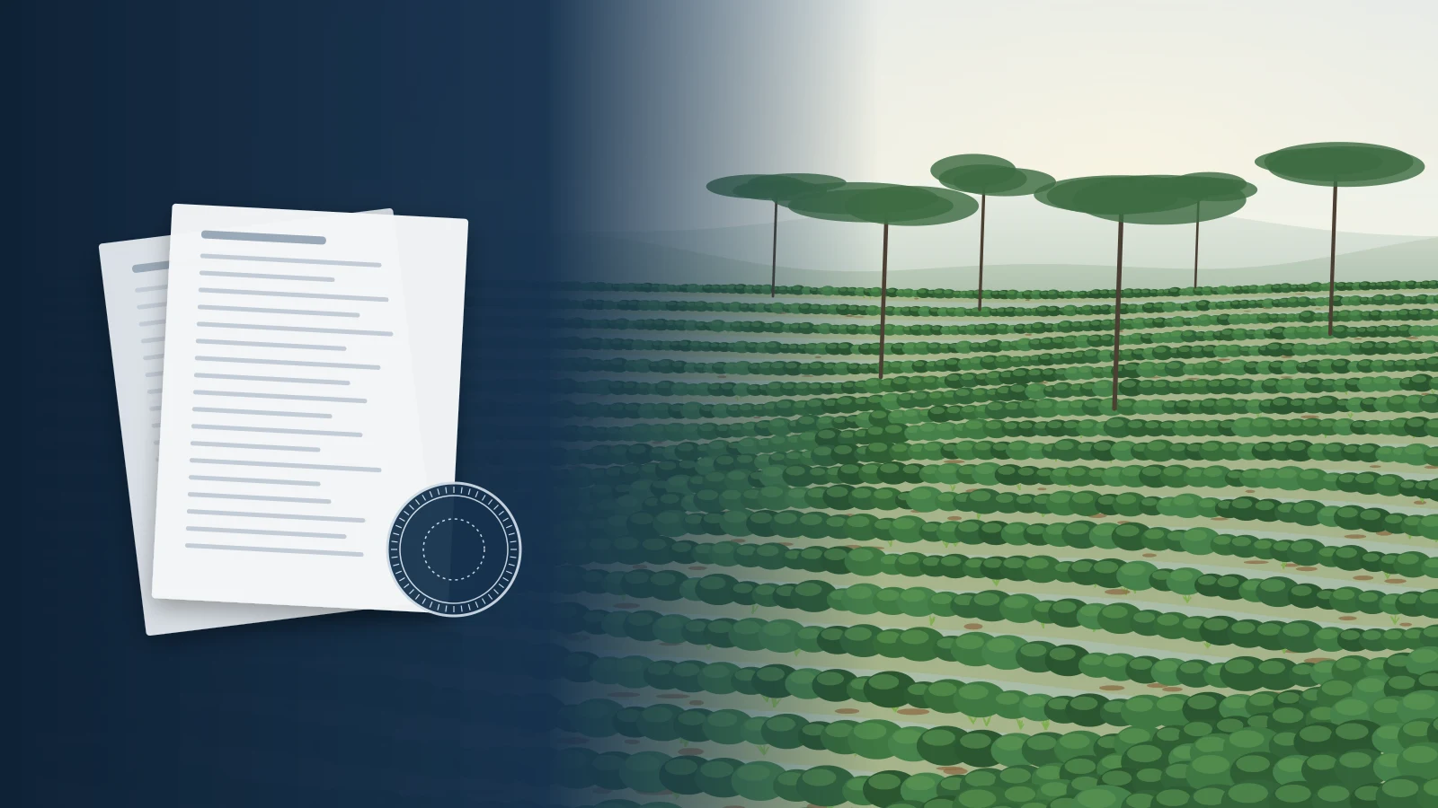 India's Paraquat Decision: The Law, the Chemistry and the Alternatives